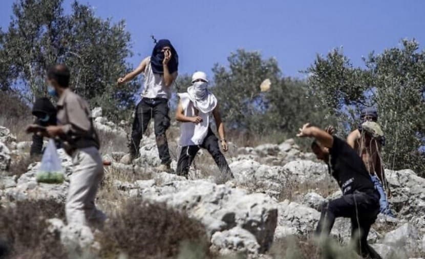 مستعمرون يهاجمون منازل المغير ويستولون على مركبة
